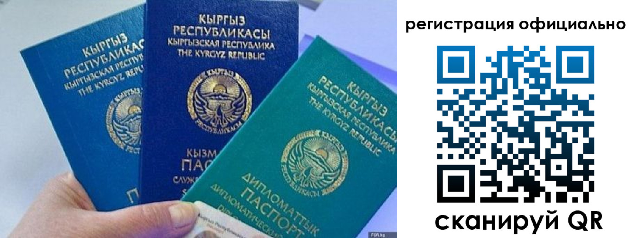 прописка в Завитинске
